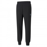 Мужские брюки SWxP Track Pants